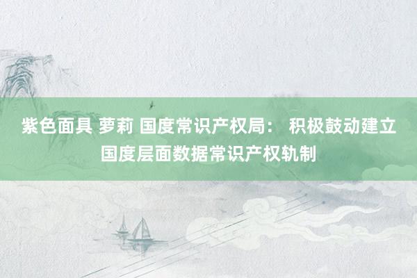 紫色面具 萝莉 国度常识产权局： 积极鼓动建立国度层面数据常识产权轨制