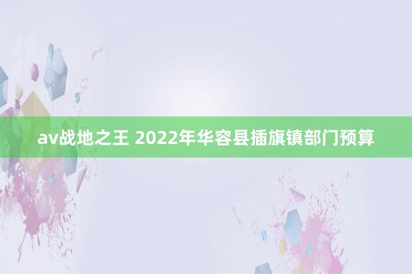 av战地之王 2022年华容县插旗镇部门预算